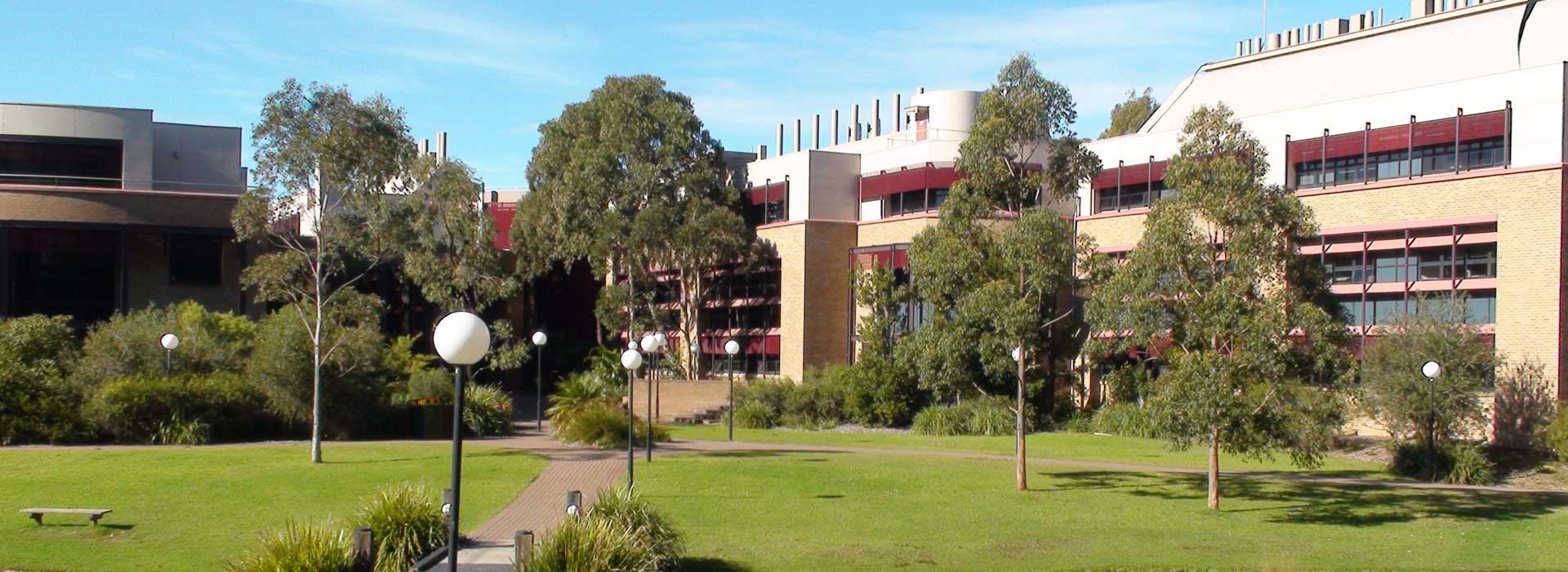 University of Wollongong